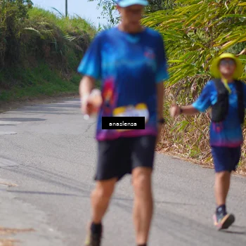 Runner Photo 5325929