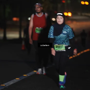 Runner Photo 5326092