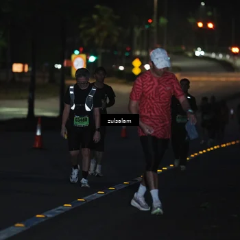 Runner Photo 5326195