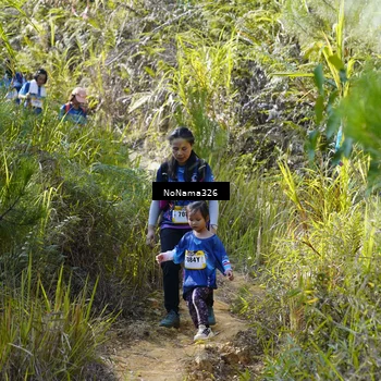 Runner Photo 5326561