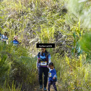 Runner Photo 5326571