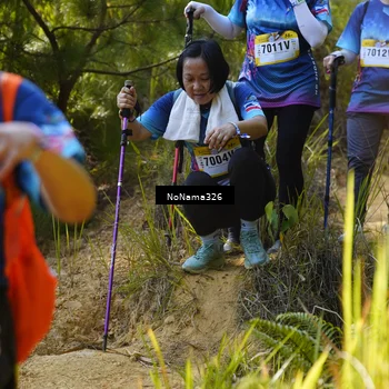 Runner Photo 5326987