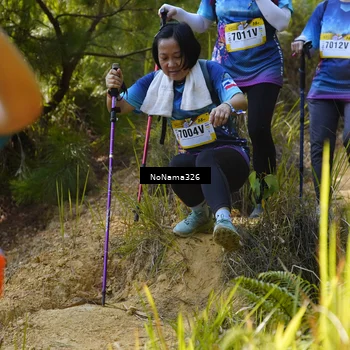 Runner Photo 5327007