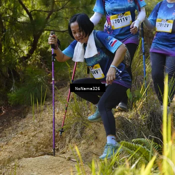 Runner Photo 5327018
