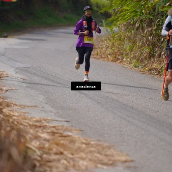 Runner Photo 5327097