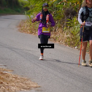 Runner Photo 5327182