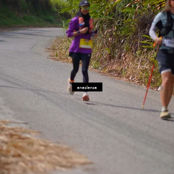 Runner Photo 5327348