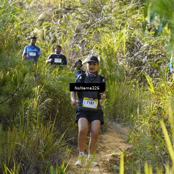 Runner Photo 5327492