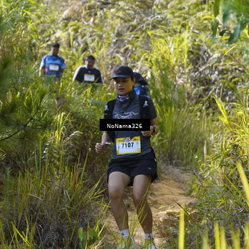Runner Photo 5327513