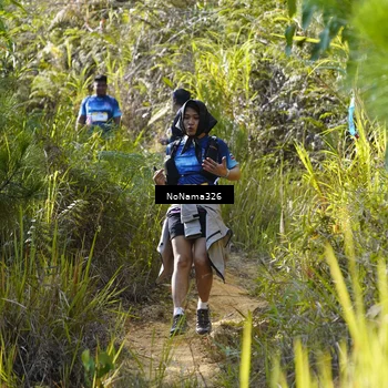 Runner Photo 5327684
