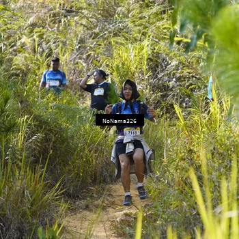 Runner Photo 5327690