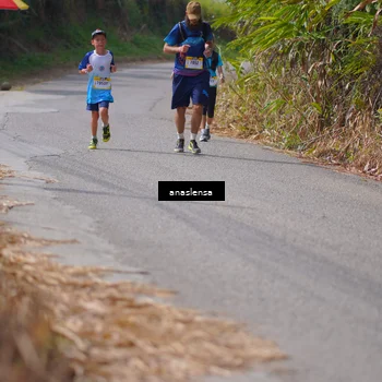 Runner Photo 5327847
