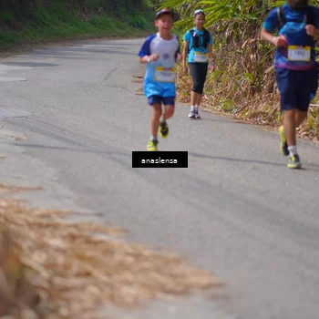 Runner Photo 5327867