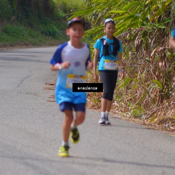 Runner Photo 5327942