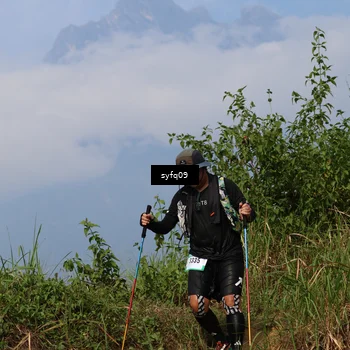 Runner Photo 5327976