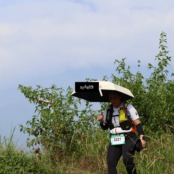 Runner Photo 5328335