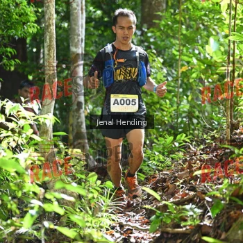 Runner Photo 532842