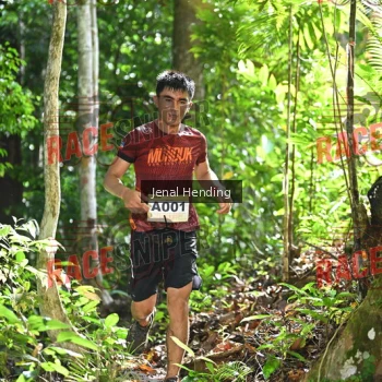 Runner Photo 532843