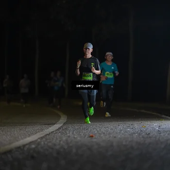Runner Photo 5328671