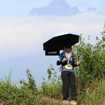 Runner Photo 5328714