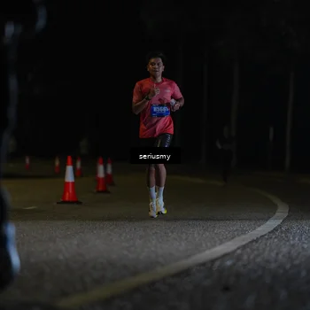 Runner Photo 5328836