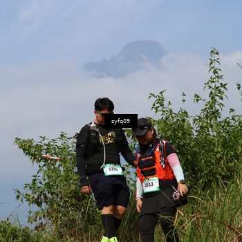 Runner Photo 5328895