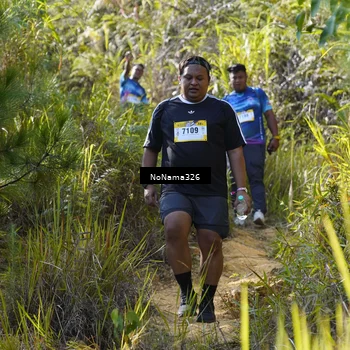 Runner Photo 5330182