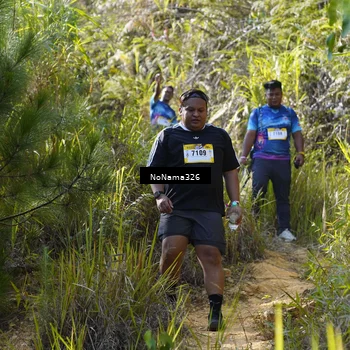 Runner Photo 5330184
