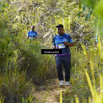 Runner Photo 5330404
