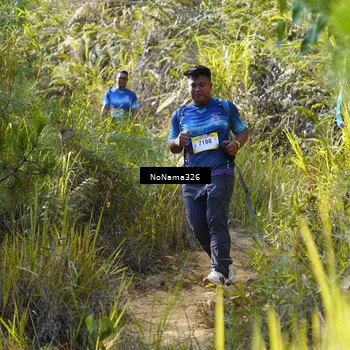 Runner Photo 5330442