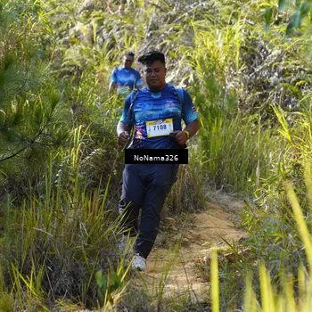 Runner Photo 5330451