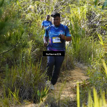 Runner Photo 5330477
