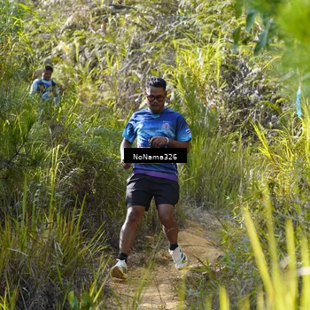 Runner Photo 5330648
