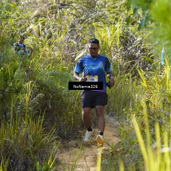 Runner Photo 5330657