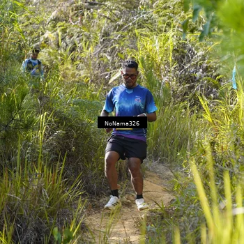 Runner Photo 5330659