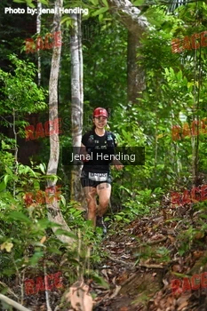 Runner Photo 533073