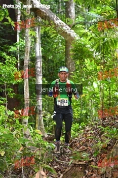 Runner Photo 533081