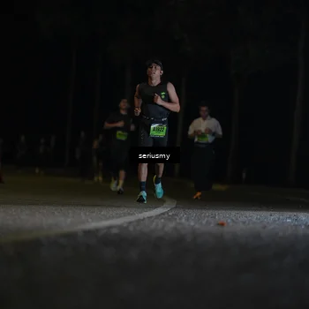 Runner Photo 5330839