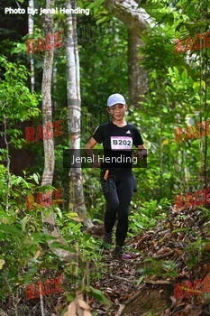 Runner Photo 533112