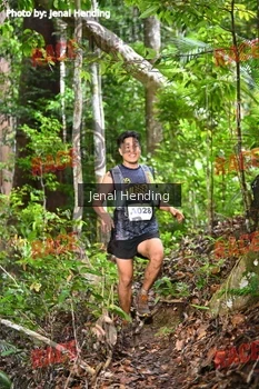 Runner Photo 533119