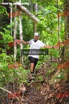 Runner Photo 533124