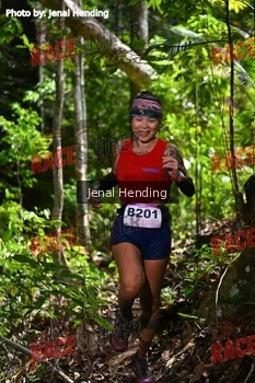 Runner Photo 533159