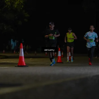 Runner Photo 5331813