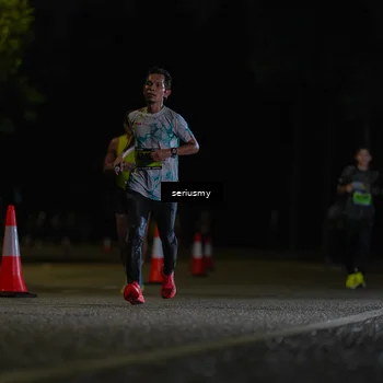 Runner Photo 5331871