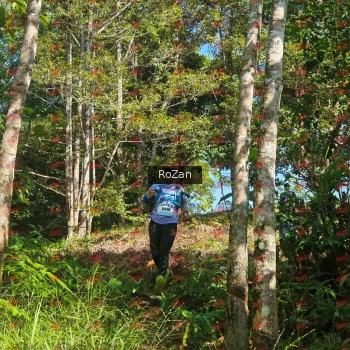 Runner Photo 5332