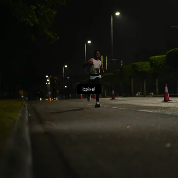 Runner Photo 5332564