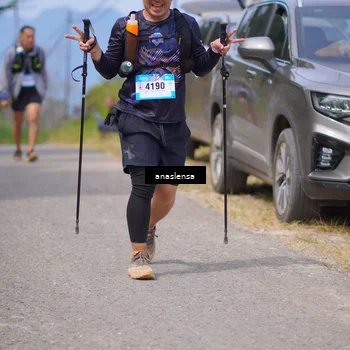 Runner Photo 5332919