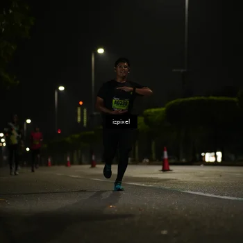 Runner Photo 5333146