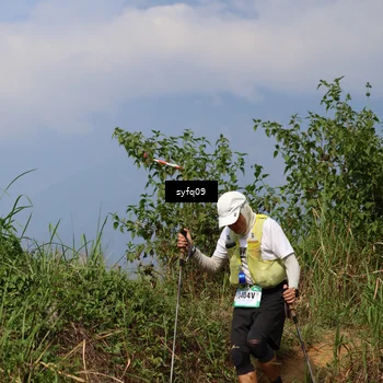 Runner Photo 5333309