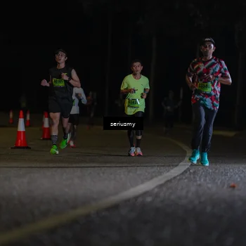 Runner Photo 5333482